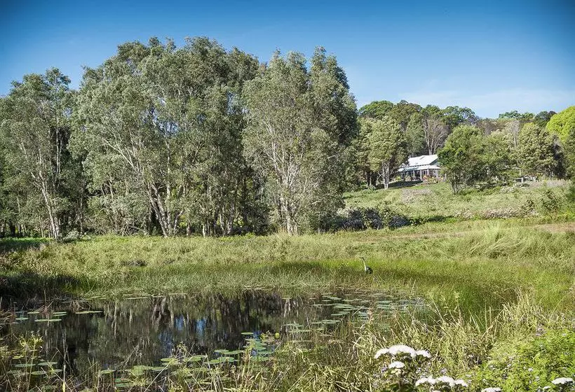 تختخواب و صبحانه Abelia House