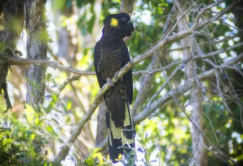 تختخواب و صبحانه Abelia House