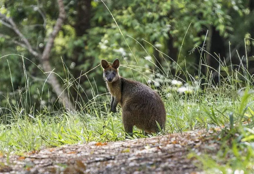 تختخواب و صبحانه Abelia House