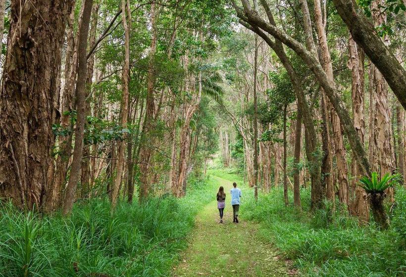 住宿加早餐  Abelia House