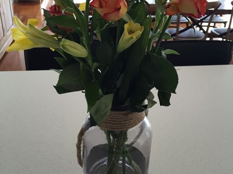 فندق Anchors Beach House