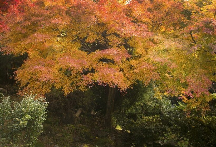Hotel Takimotokan Yukinosato