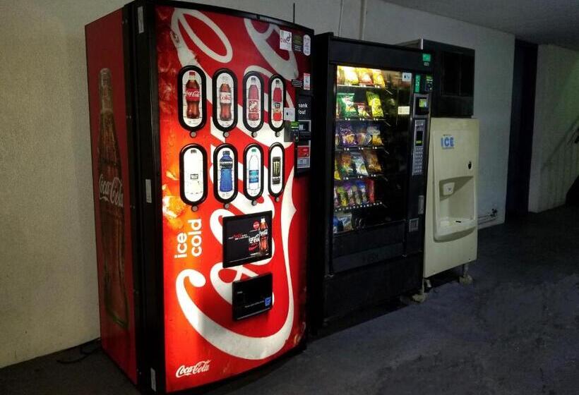 فندق على الطريق Econo Inn