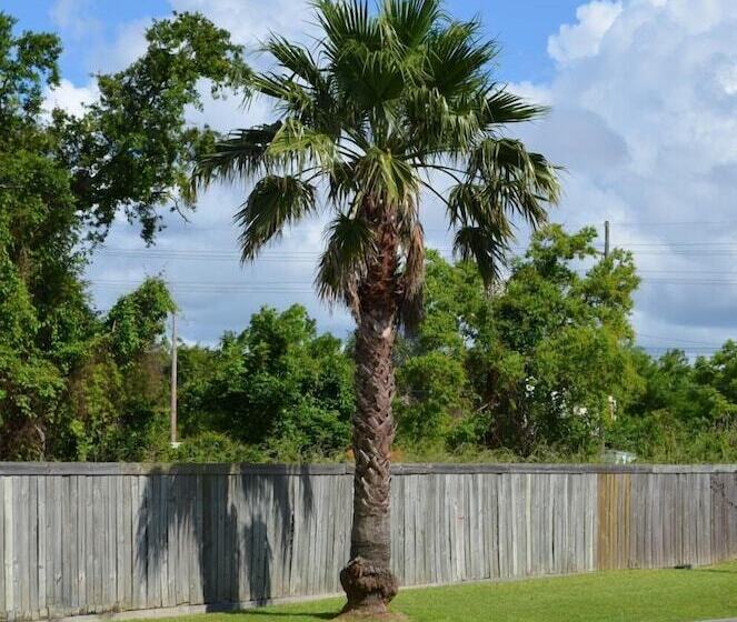 Motel Economy Inn New Orleans