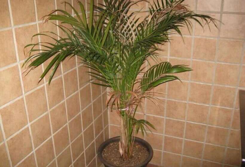 Motel Economy Inn New Orleans