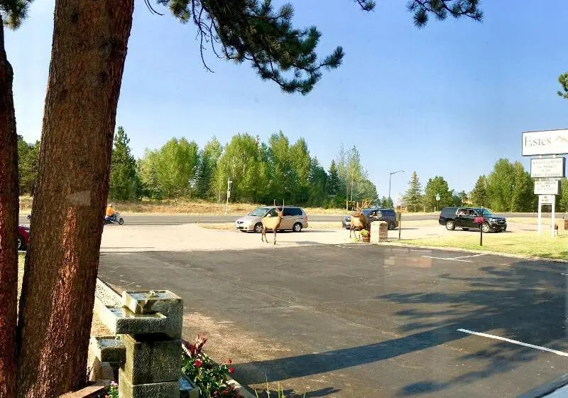 モーテル Estes Mountain Inn