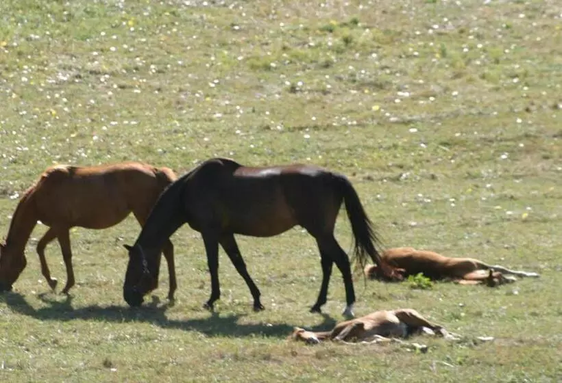 펜션 Château Du Besset