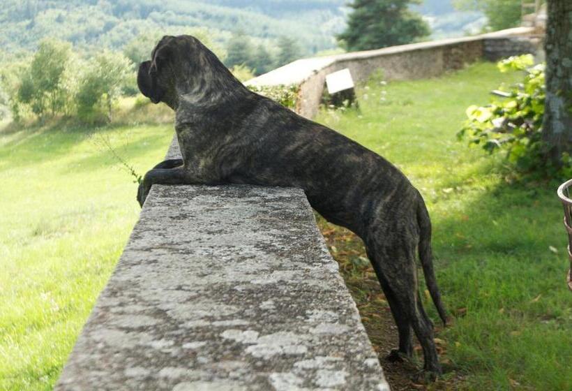 بنسيون Château Du Besset