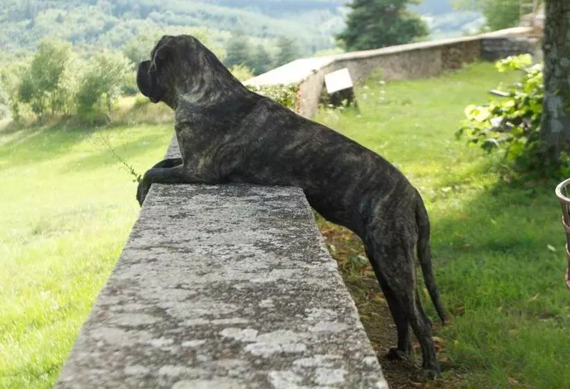 펜션 Château Du Besset