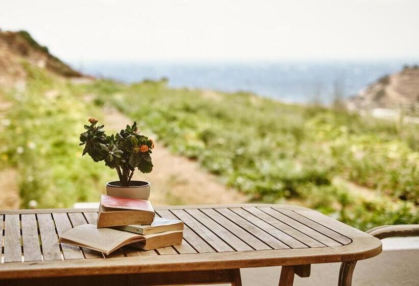 بنسيون Petrino