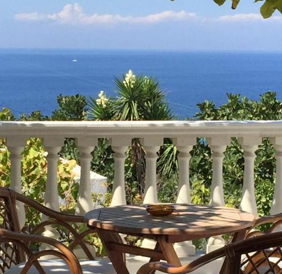 بنسيون Petrino