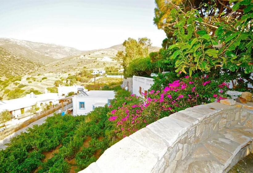 بنسيون Petrino