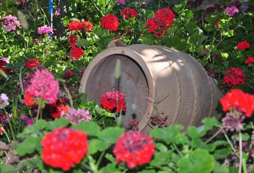 بنسيون Petrino