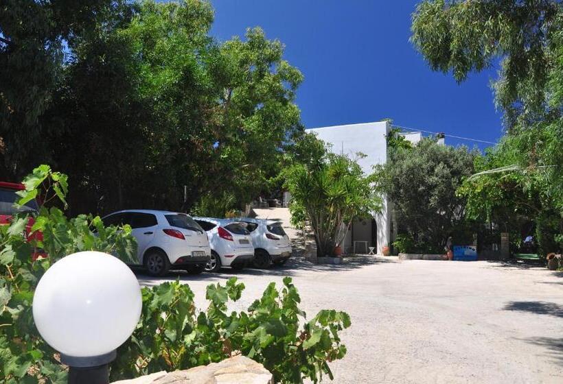 بنسيون Petrino