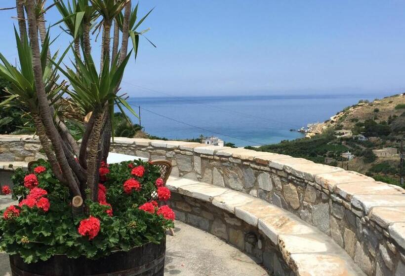 بنسيون Petrino