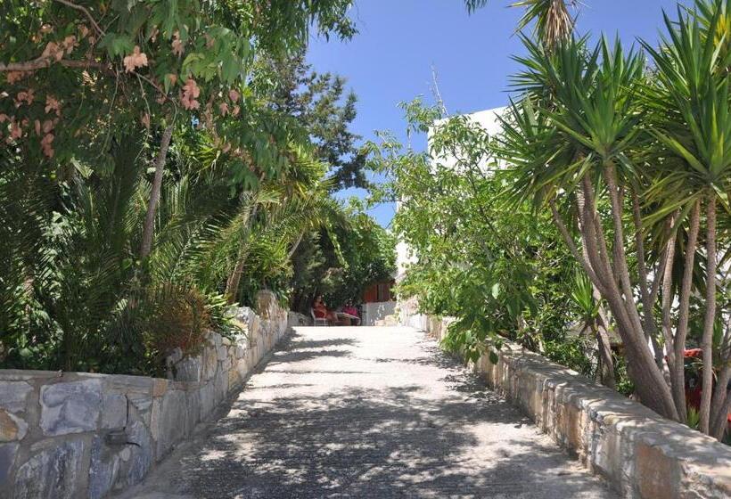 بنسيون Petrino