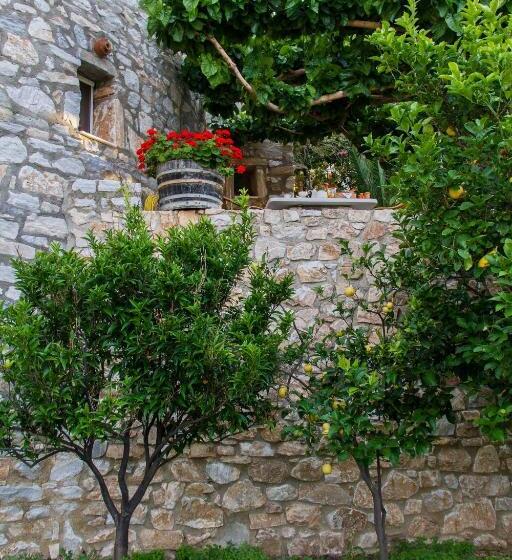 بنسيون Petrino