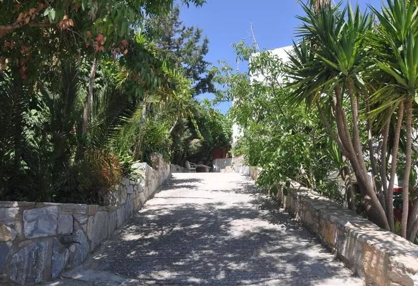 ペンション Petrino