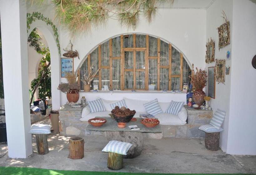 بنسيون Petrino