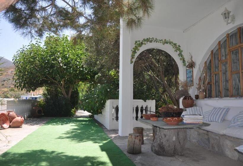 بنسيون Petrino