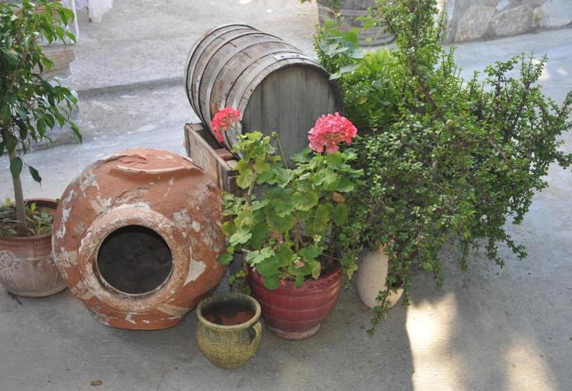 بنسيون Petrino