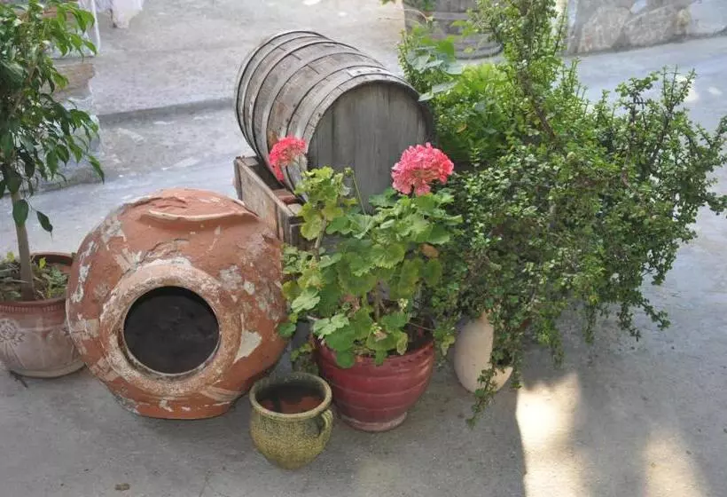 ペンション Petrino