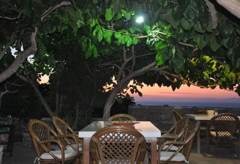 بنسيون Petrino