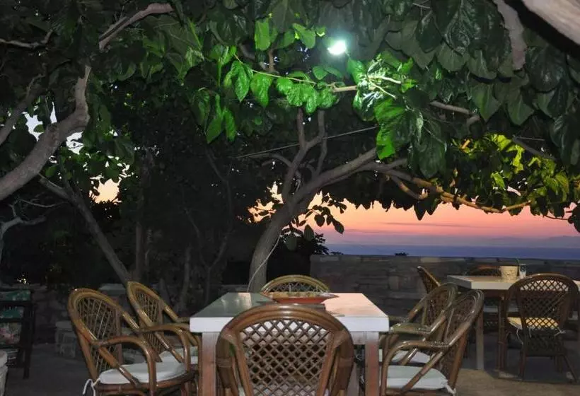 ペンション Petrino