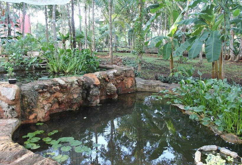 Real Mayab Hotel & Bungalows