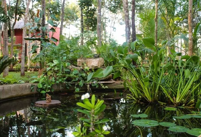 Real Mayab Hotel & Bungalows