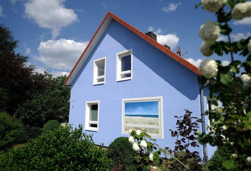 פנסיון Gästehaus Südheide