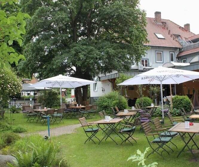 פנסיון Gästehaus Südheide