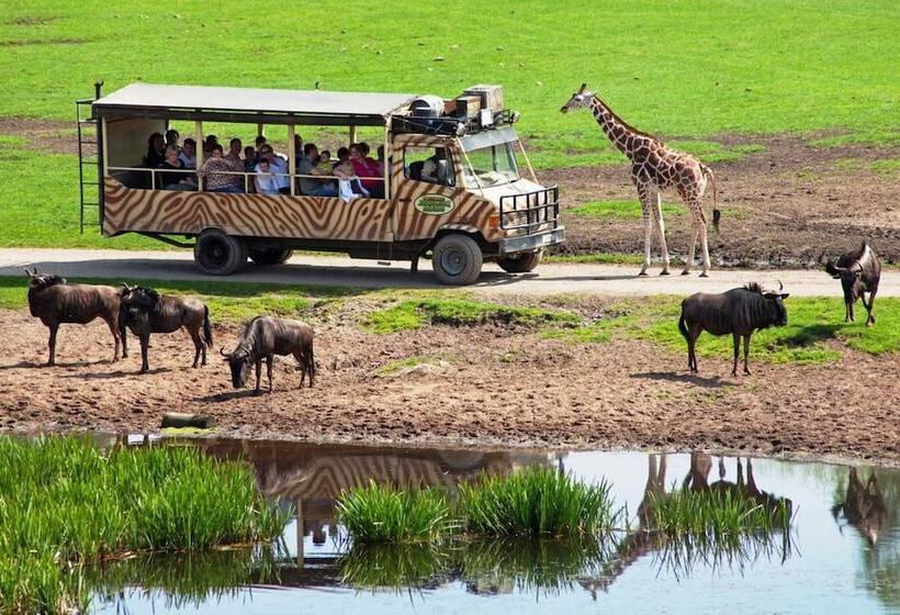 פנסיון Gästehaus Südheide