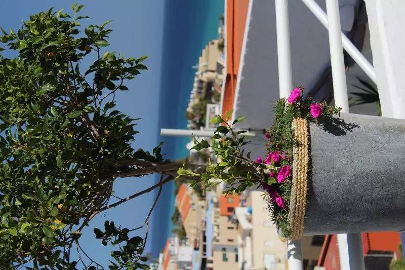 Apartamentos Natalis