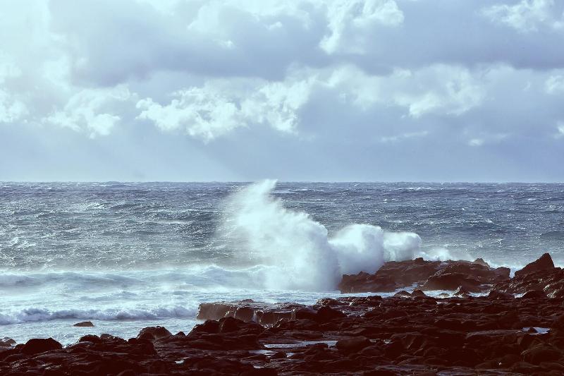 צימר Jay N Chloe