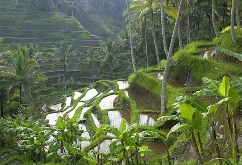 Green View Private Villas