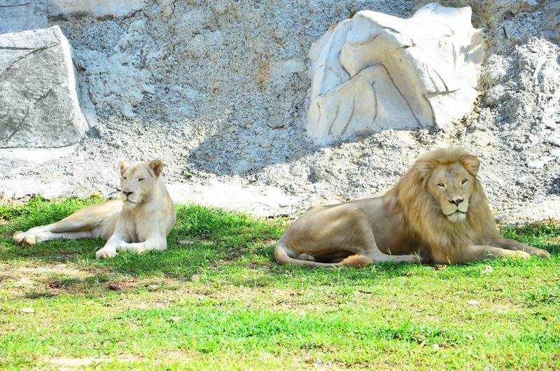 ホテル Arabian Bay Resort   Bukit Gambang Resort City