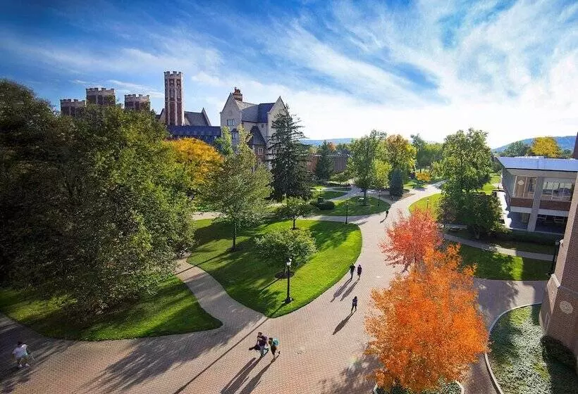 ホテル Courtyard By Marriott Elmira Horseheads