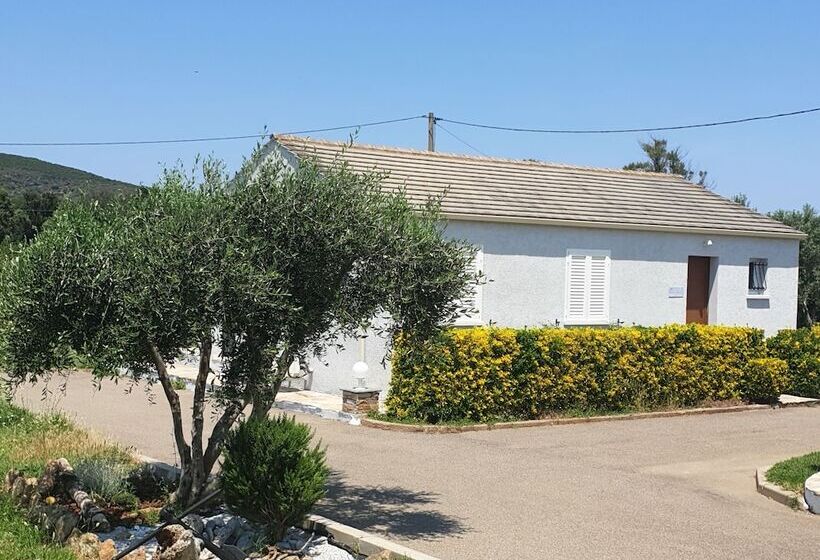 ホテル Stella Marina