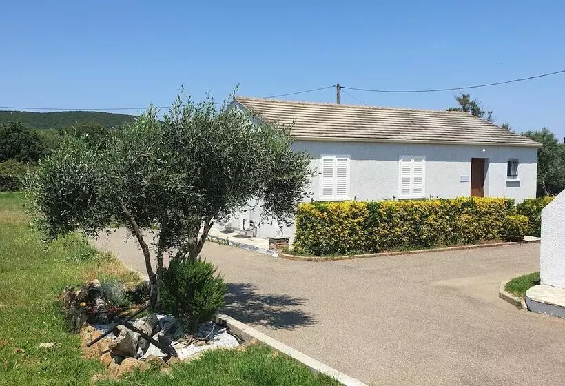 호텔 Stella Marina