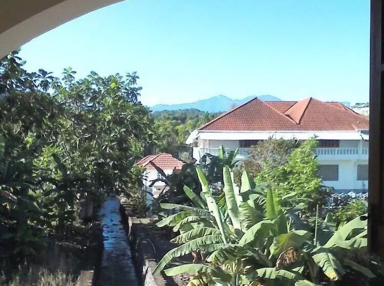 پانسیون Dolphin Bay Yoga Guest House