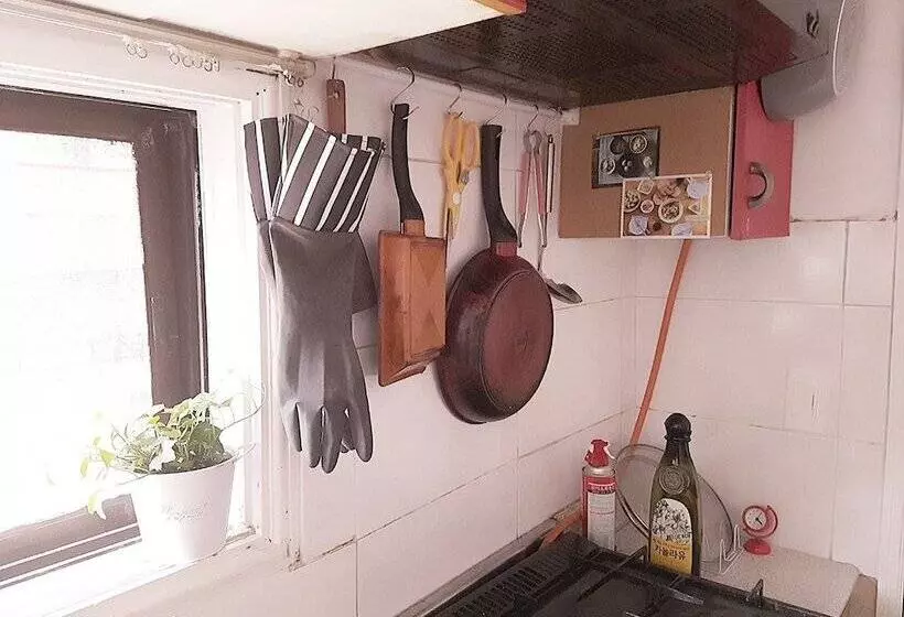 Pensiune Skyboat Inn