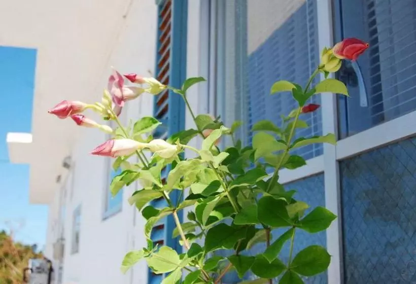 Riverside Cottage Yomitan