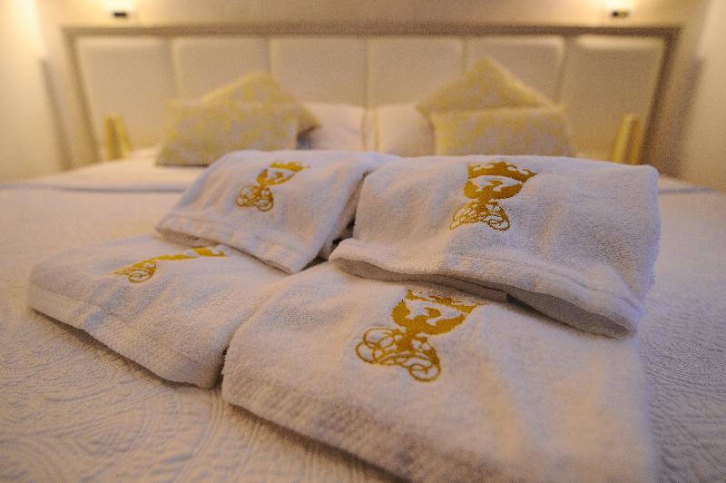 酒店 Artemisia Palace