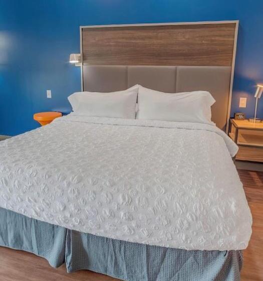 בית מלון כפרי Tru By Hilton Santee