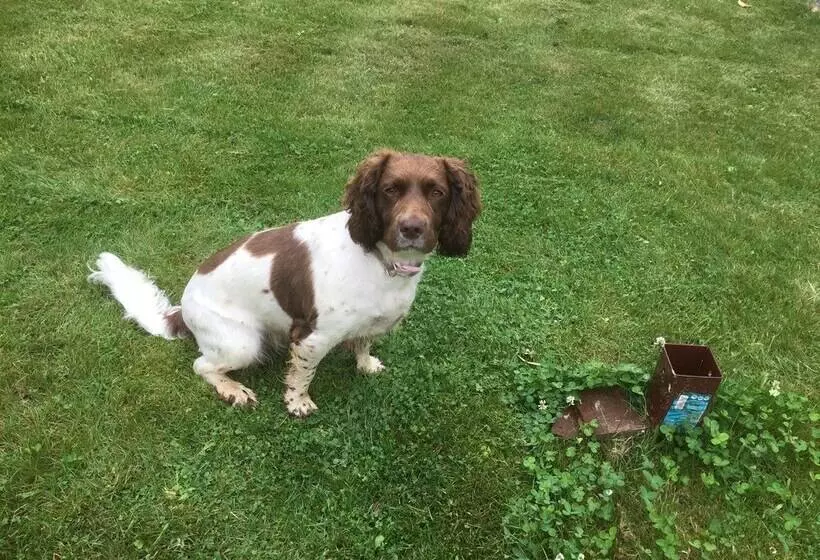 2 Bedroom Dog Friendly Cottage Near Bridlington