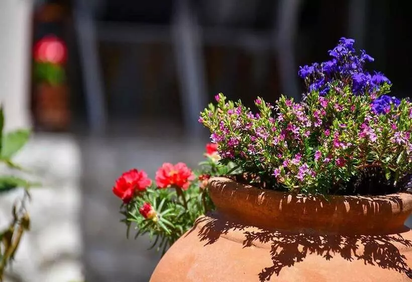 Majatalo Apartments Jaklin