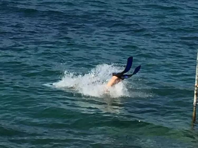 Roditses Beach Sea Front Apartments