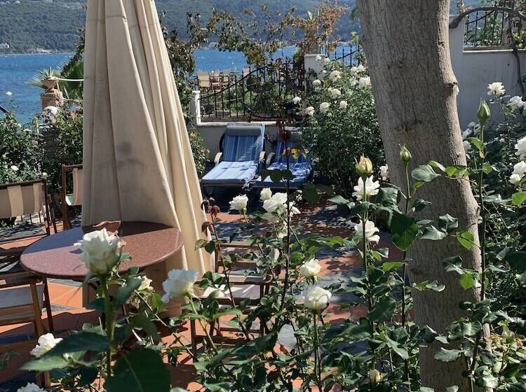 Roditses Beach Sea Front Apartments