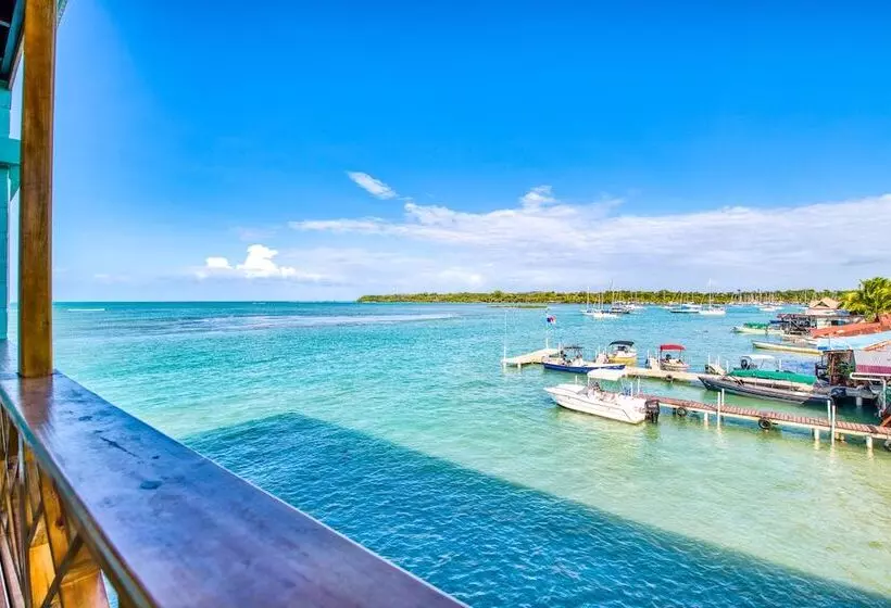 هتل Bambuda Bocas Town   Hostel